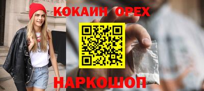 твердый Будённовск