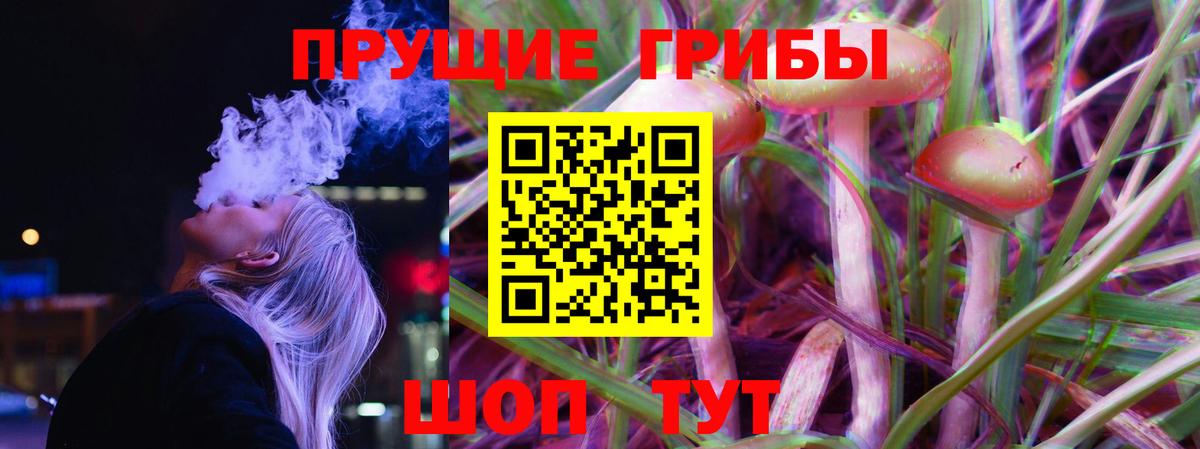 Псилоцибиновые грибы Psilocybine cubensis Серов
