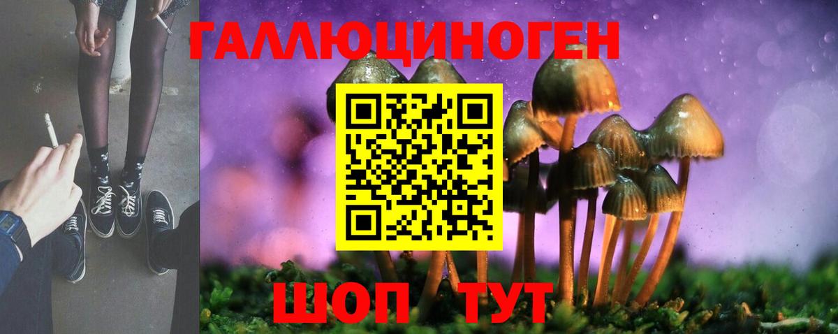 Галлюциногенные грибы мицелий  Вход с VPN  Серов  Галлюциногенные грибы мицелий 